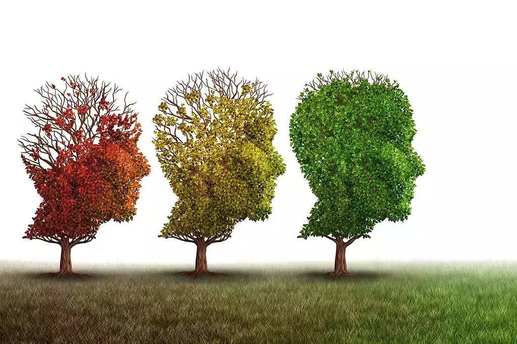 Drie bomen, eerste goen en vol laatste dor en met minder blad, verbeelding van dementie